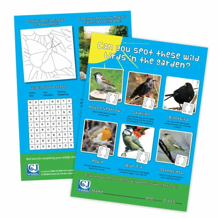 CJ's Children's Free Activity Sheet Age 7+