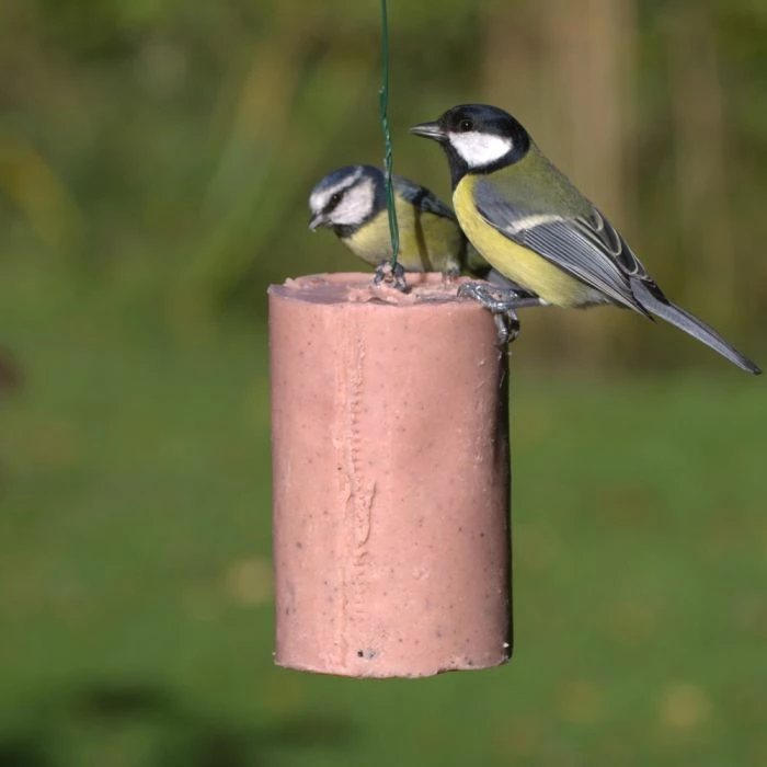 Very Berry Peanut Cake Tube (500ml) - Image 2