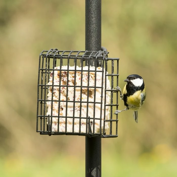 Peanut Cake Square Supreme - Image 7