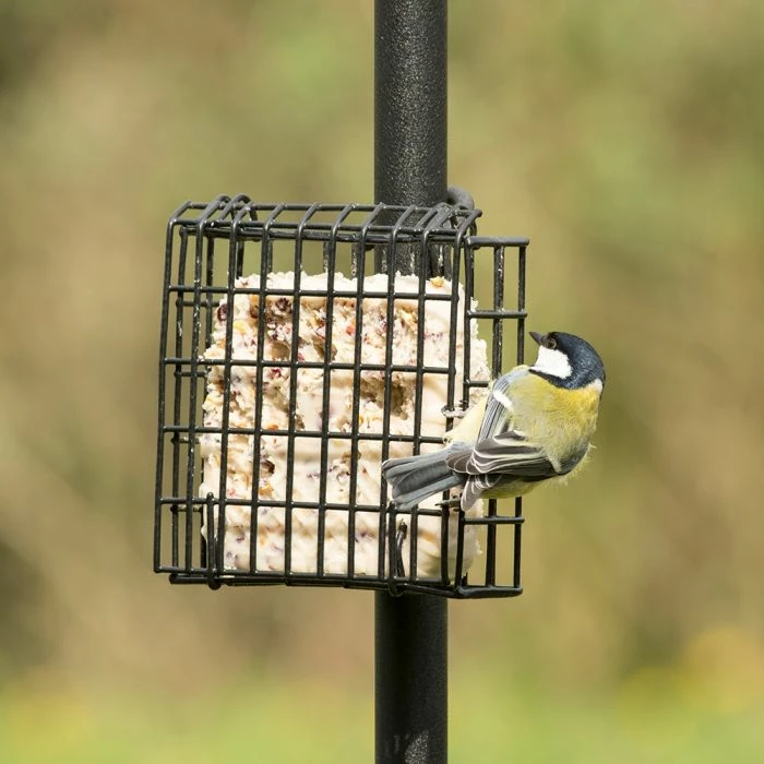 Peanut Cake Square Supreme - Image 6