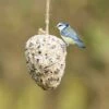 Pine Cone Suet Treat For Birds