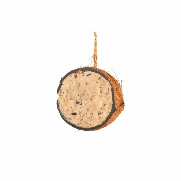 Half Coconut With Peanut Butter Bird Food - Image 4
