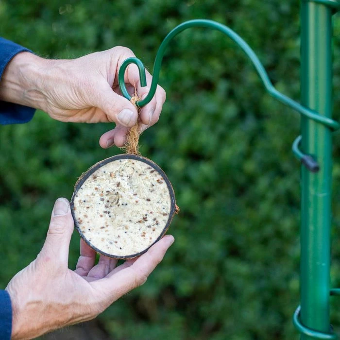 Half Coconut With Peanut Butter Bird Food - Image 3
