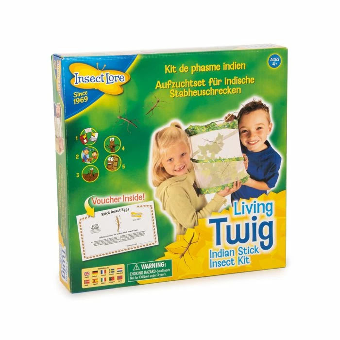 Living Twig Stick Insect Kit