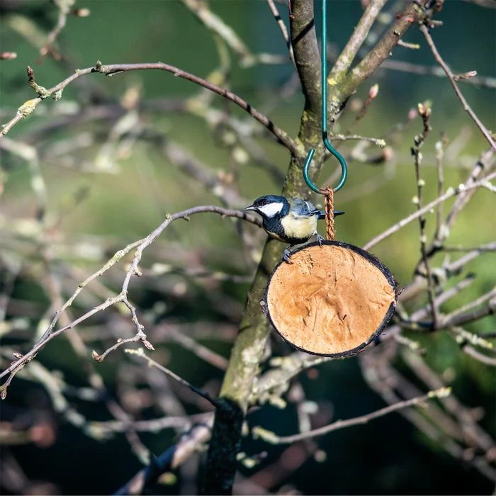 Half Coconut With Protein Rich Peanut Butter - Image 3