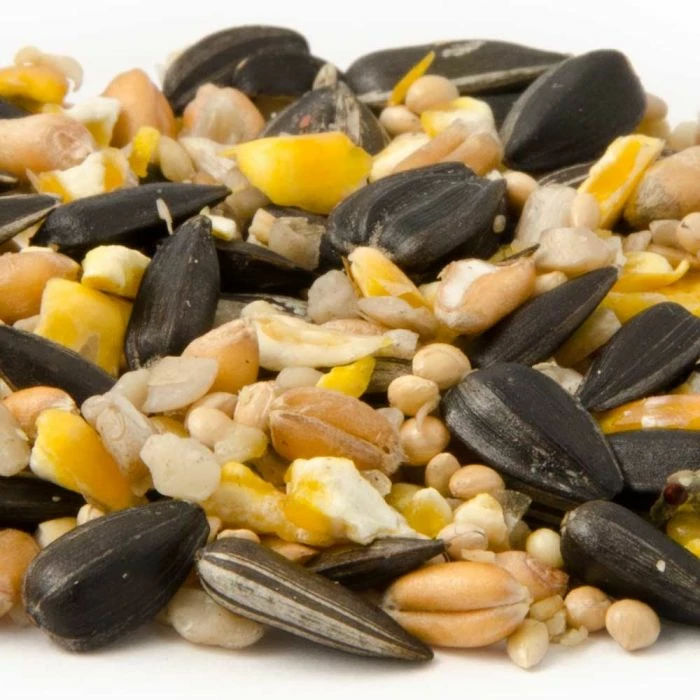 National Trust Garden Bird Table Seed - Image 5