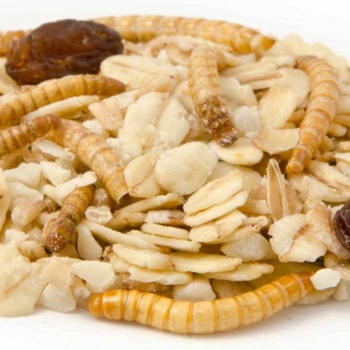 Muesli With Mealworms (2.5kg) - Image 2