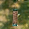 National Trust Small Metal Peanut Feeder