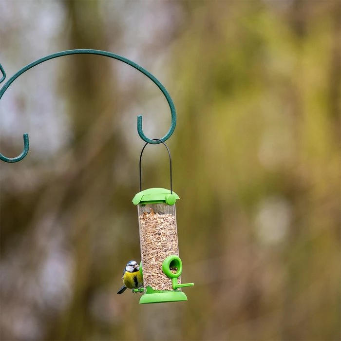 National Trust Kids Robin & Blackbird Mix - Image 3