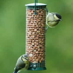 Discovery Plastic Hanging Peanut Bird Feeder