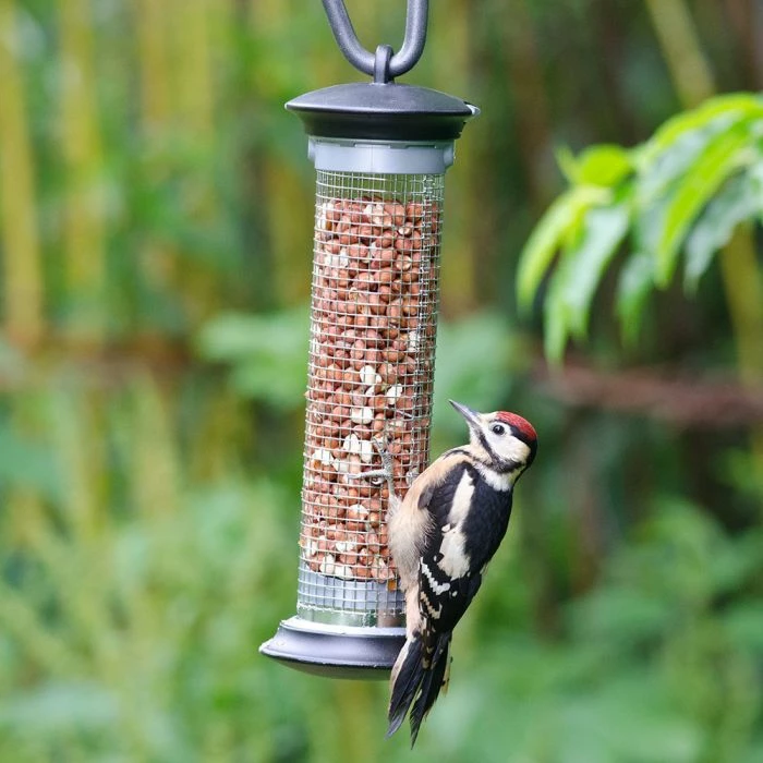 National Trust Apollo Peanut Feeder - Image 3