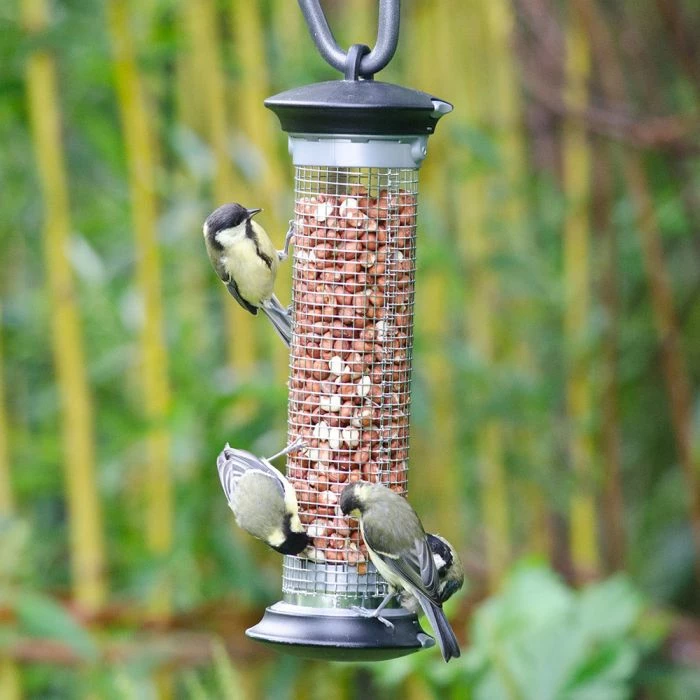 National Trust Apollo Peanut Feeder - Image 4