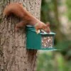 Metal Squirrel Feeder XXL