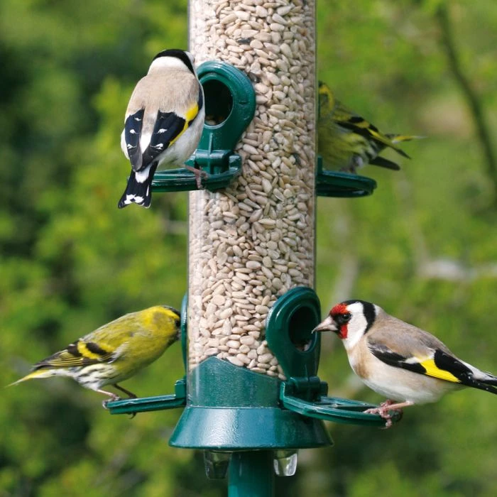 National Trust 4 Port Metal Seed Feeder - Image 2