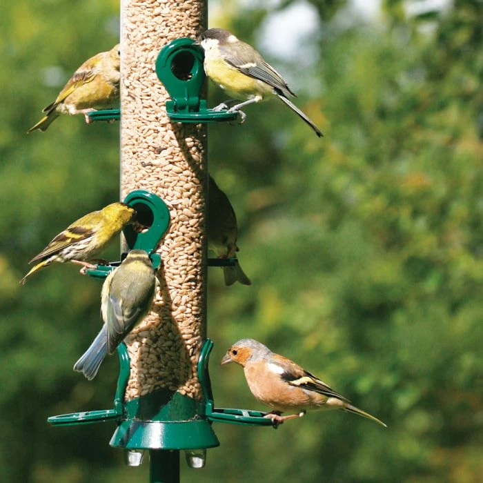National Trust 6 Port Metal Seed Feeder - Image 2