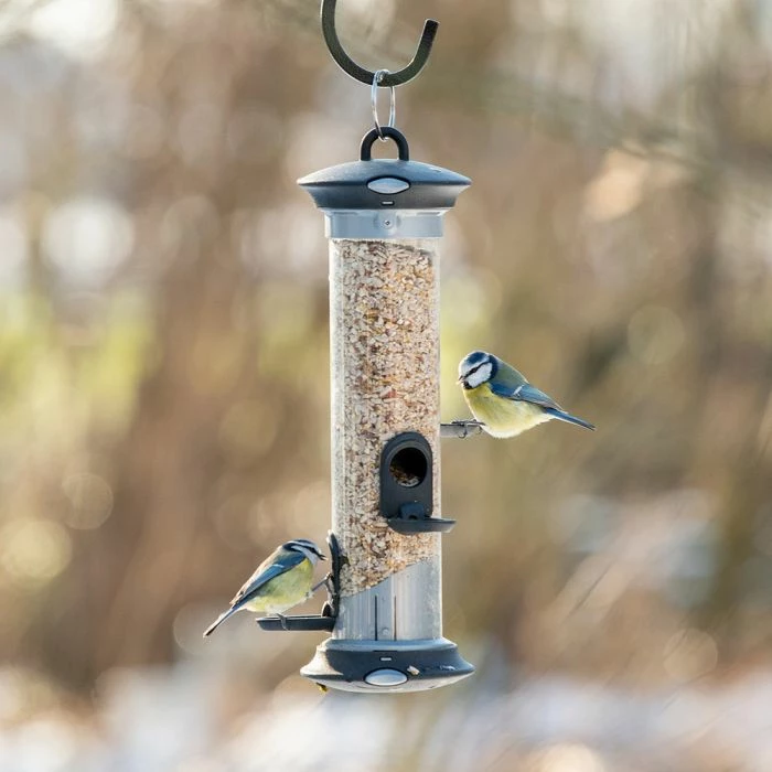 Apollo Bird Seed Feeder Range - Image 5