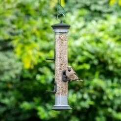 Apollo 5 Port Seed Feeder