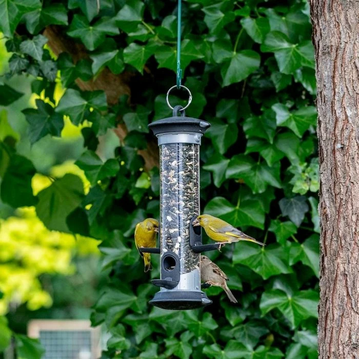 Apollo Bird Seed Feeder Range - Image 4
