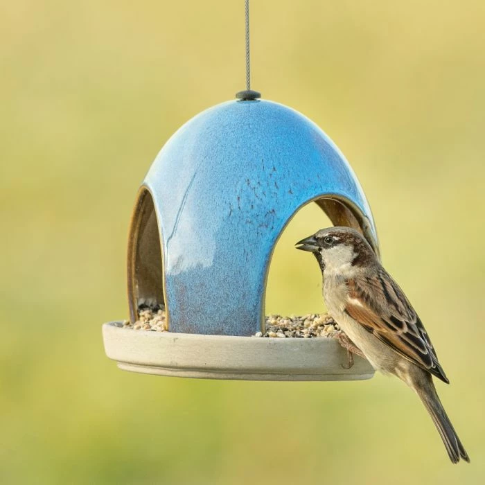 National Trust Vierno Tavern Bird Seed Feeder (Blue) - Image 3
