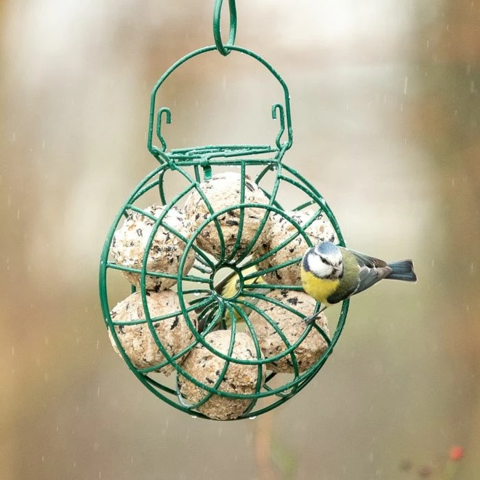 National Trust Fat Ball Bird Feeding Ring