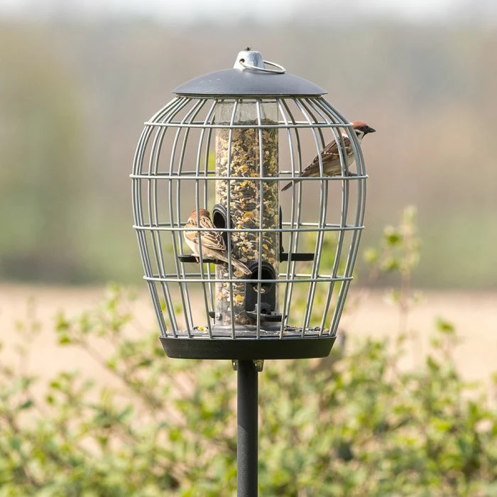 Aura Bird Seed Feeder Guardian Pack - Image 2