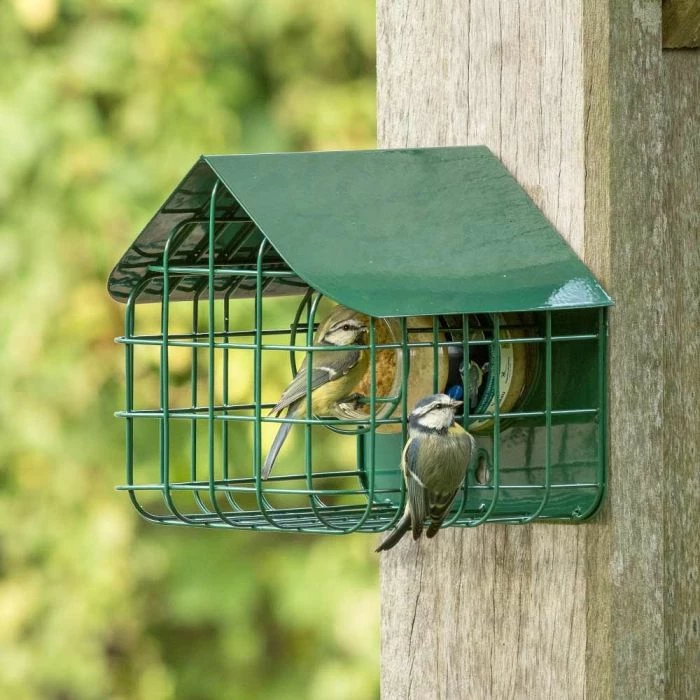 National Trust Waterford Peanut Butter Bird Feeder - Image 2