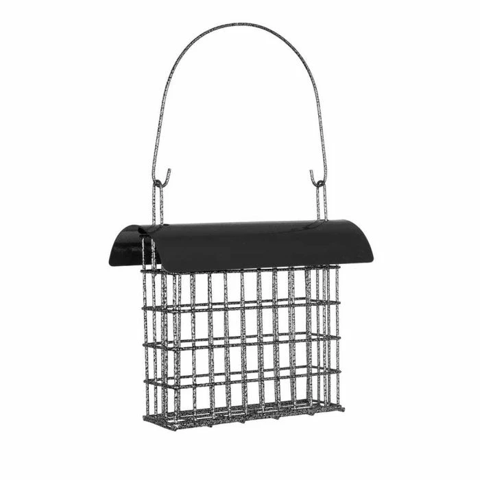 Sydney Peanut Cake Feeder - Image 4