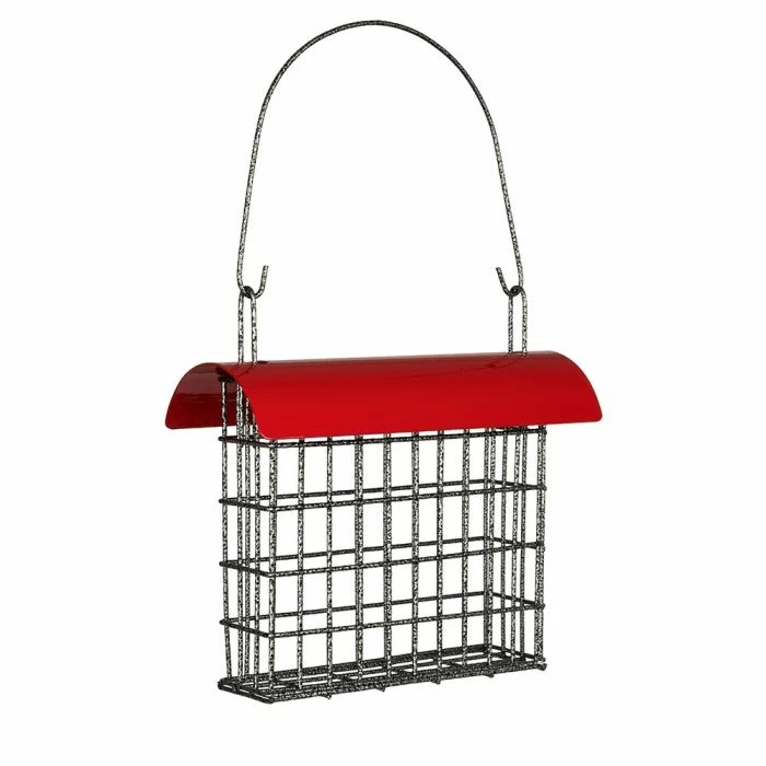 Sydney Peanut Cake Feeder - Image 5