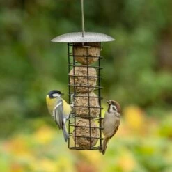 Adelaide Metal Fat Ball Bird Feeder
