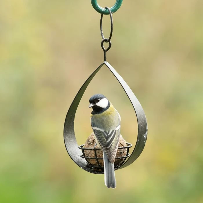 Canberra Fat Ball Bird Feeder - Black