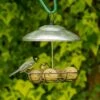 Bunbury Silver Fat Ball And Peanut Butter Bar Bird Feeder