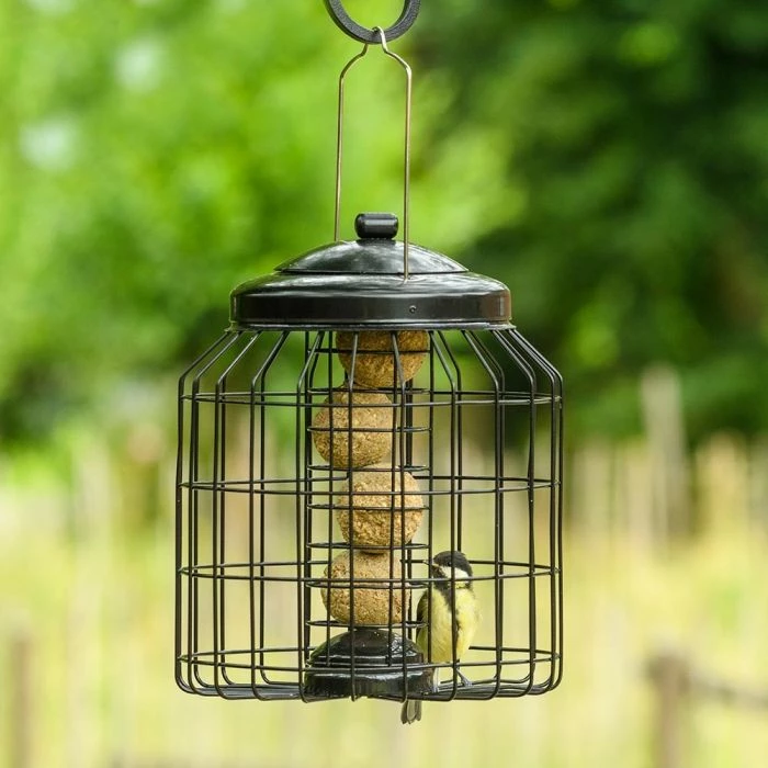 Brussels Bird Feeder Guardians - Bundle Of 3 - Image 4