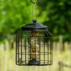 Brussels Fat Ball Bird Feeder Guardian Pack