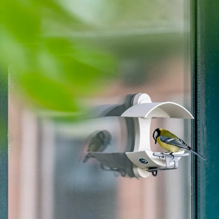 National Trust Acorn Window Feeder - Image 2