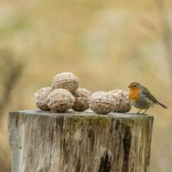 Organic Fat Balls - 6 Pack