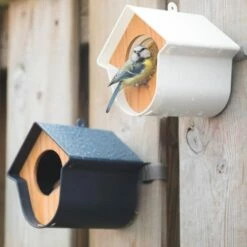 SingingFriend Evie Peanut Butter Bird Feeder