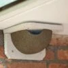 WoodStone® House Martin Nest - Single (Left Entrance)