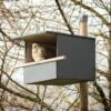 Kestrel Nest Box