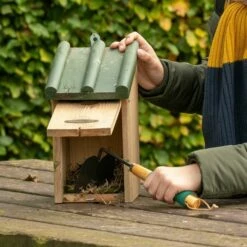Bird Table & Nest Box Scraper