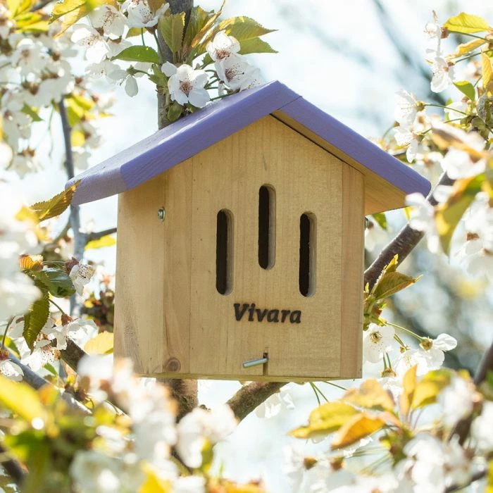 Ithaca Limited Edition Butterfly House - Image 2