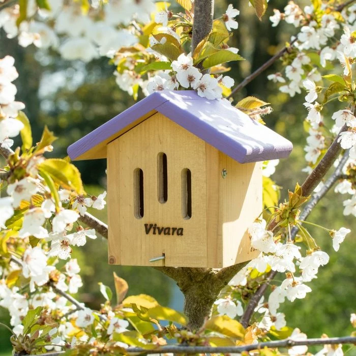 Ithaca Limited Edition Butterfly House