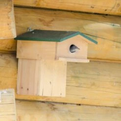 Starling Nest Box With Balcony