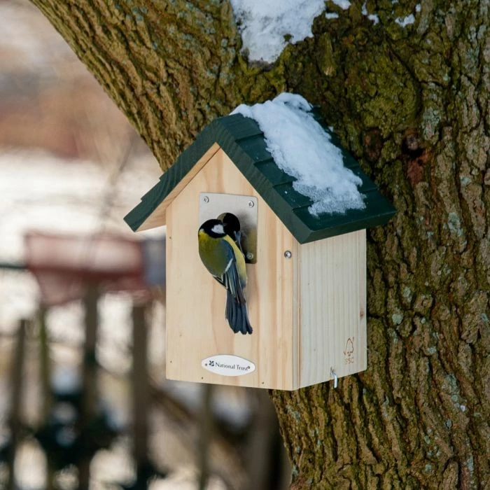 National Trust Vail Larch 32mm Nest Box - Image 2
