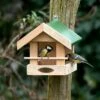 Amazon Bird Seed Feeder