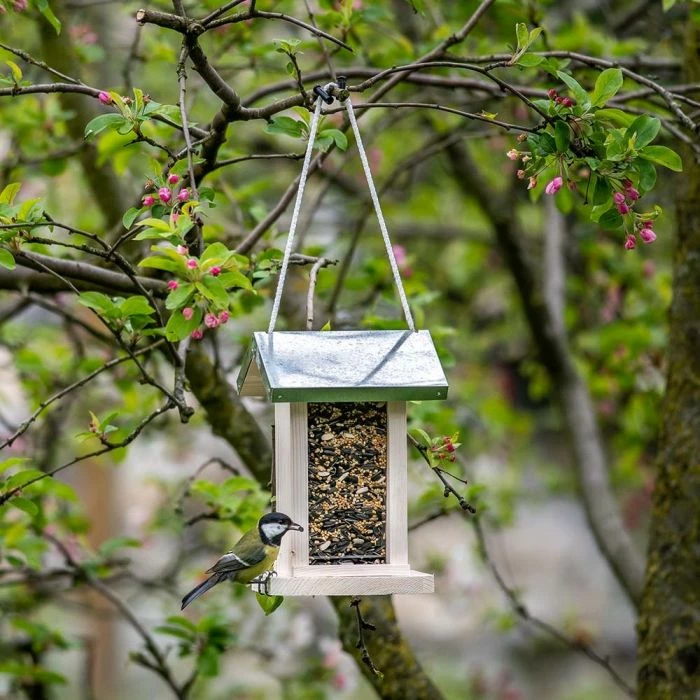 Lahti Seed Feeder