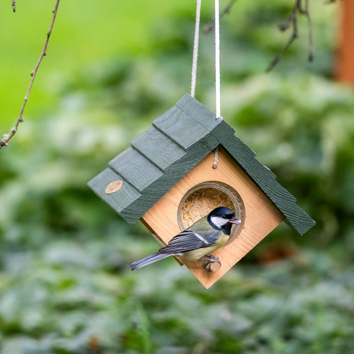 Lifford Hanging Double Peanut Butter Feeder - Image 2