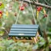Lifford Hanging Double Peanut Butter Feeder
