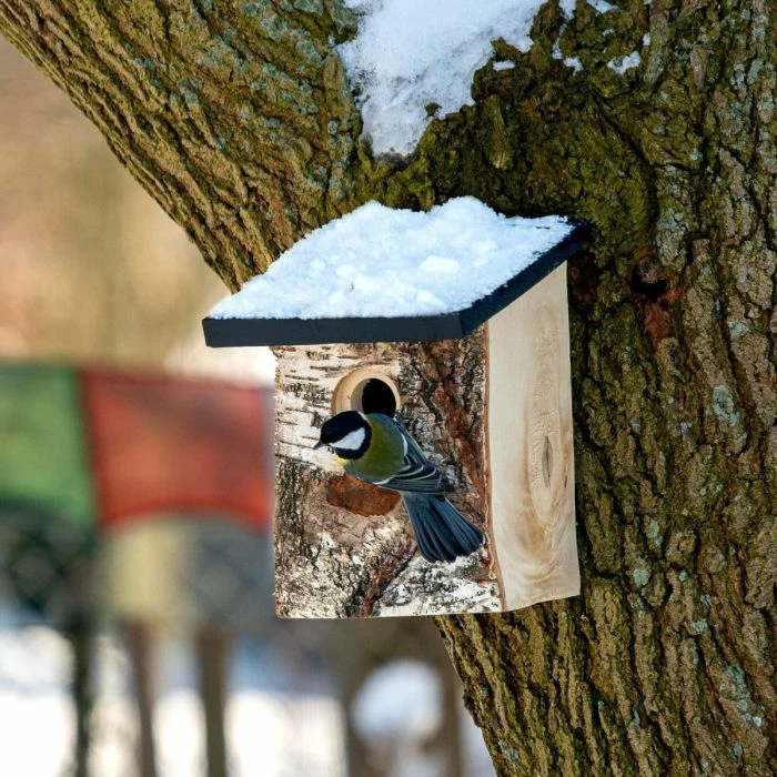 Stavanger 32mm Nest Box - Image 2