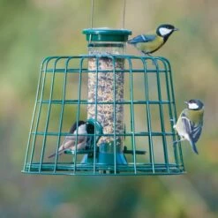 2 Port Bird Seed Feeder With Guardian