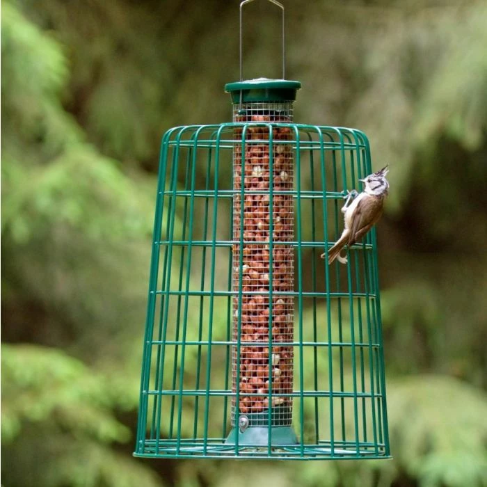 Medium Peanut Bird Feeder With Guardian